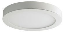 COOL WHITE DOWNLIGHT (18W)